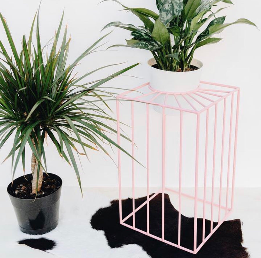Pink Sunbeam Plant Stand | Large